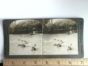 Vintage Presko French Cavalry Horses Swimming WWI 1916 Stereoview Card - Picture 1 of 2