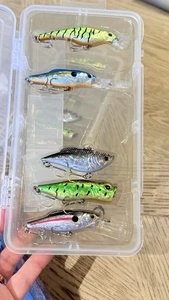 Menge 5 schöne Angelköder Rapala Bill Lewis Rattlin Raps & Tackle Box - Bild 1 von 3