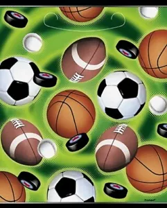 16 Sports Favor Treat Bags Birthday Soccer Baseball Football Game Basketball - Picture 1 of 1