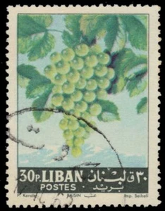 LEBANON 399 - Grapes "Vitis vinifera" (pa12139) - Picture 1 of 1
