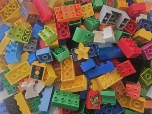 60 Duplo Steine Bausteine Lego Duplo 50 Grundbausteine und 10 Sondersteine - Bild 1 von 1