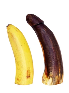 Horn Phallus Skulptur Trinkhorn 16 cm seidenmatt natur Afrika Penis Erotik Figur - Bild 1 von 9