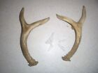 Set of 2 Cabin Lodge 9 1/4" Faux Deer Antler Cabinet Pull Right Left Wind River