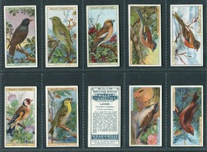 WILLS 1915 - "BRITISH BIRDS" - CIGARETTE CARDS - PICK YOUR CARD