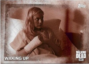 2016 Topps Walking Dead Season 5 Sepia Parallel Card #19 Serial # 2/10