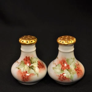 Coctelera de sal y pimienta MZ Moritz Zdekauer pintada a mano grosellas doradas 1884-1909 - Imagen 1 de 11