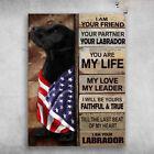 American Dog, Black Labrador Dog - I Am Your Friend, Your Partner, Your Labra...