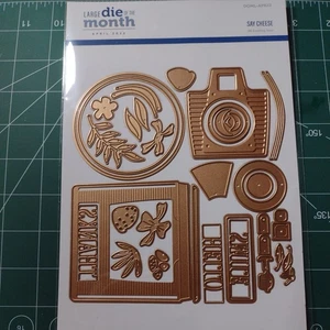 new Spellbinders Club of Month Large Die Set Apr 22 Say cheese (camera set ) - Picture 1 of 8