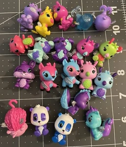 20 Hatchamals! BITTE BESCHREIBUNG LESEN & ALLE FOTOS ANSEHEN! 🤩 - Bild 1 von 19