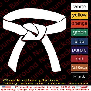 Karate Taekwondo Level Skill Belt Vinyl Decal Die Cut Sticker Material Arts SP47 - Picture 1 of 24