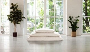 Two Merino Wool Filled Pillow & Removable 100% Organic Cotton Bed Pillow Cover - Picture 1 of 2