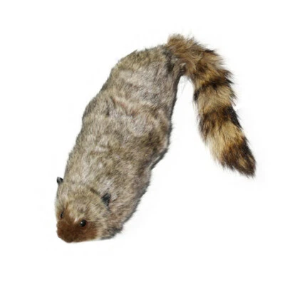 1XToy Magic The Rocky Raccoon Robbie Magic Tricks Stage Street Illusions Gimmick - Image 1 of 4