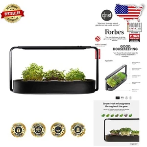 Organic Microgreens Growing Kit: Hydroponic Gardening with Chic LED & Steel F... - Picture 1 of 11