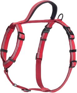 HALTI Walking Dog Harness - Red. Medium (48cm - 66cm).