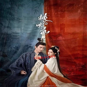 2025 Chinese Drama TAO HUA YING JIANG SHAN 桃花映江山 Chinese Sub BOXed - Bild 1 von 3