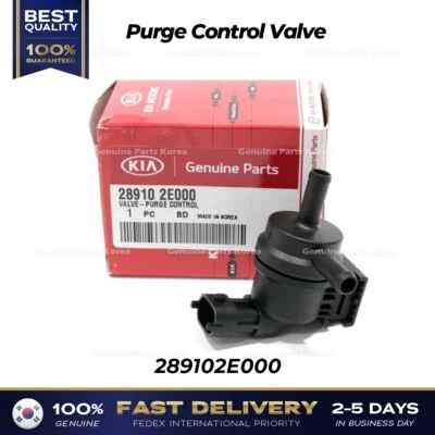 ⭐Genuino⭐ Válvula de control de purga 289102E000 para Hyundai Elantra Kia Forte Foto 1 de 4