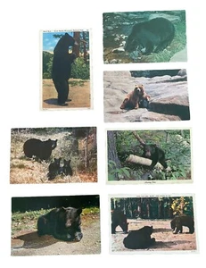 Colección de 7 postales vintage de los años 40+ con osos - Imagen 1 de 2