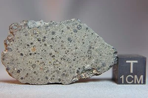 NWA 8672 CK5 Meteorite 5.4 gram Complete Slice - Picture 1 of 3
