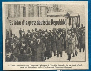 1919  -  VIENNE MANIFESTATION POUR ANNEXION DE L AUTRICHE A L ALLEMAGNE  . 3Z807 - Imagen 1 de 1