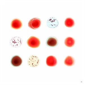 Peter Gabriel Scratch My Back/And I'll Scratch Yours (Vinyl) (US IMPORT) - Picture 1 of 1