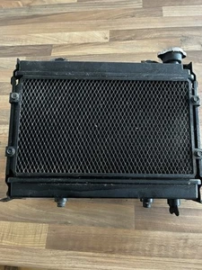 Dinli / Quadzilla 450 Radiator - Picture 1 of 3