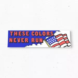 ESTOS COLORES NUNCA CORRER Pegatina parachoques - Bandera de EE. UU. Estilo Vintage - Vinilo años 80 años 90 - Imagen 1 de 4