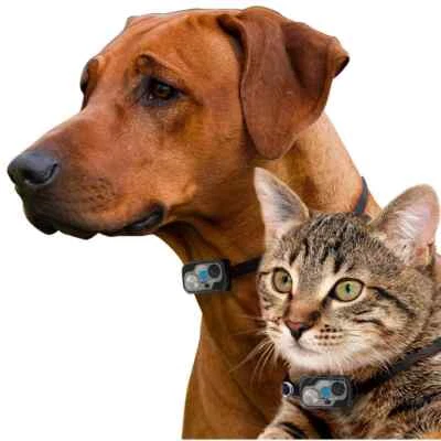 High Tech Pet Micro Sonic 5 Ultrasonic Electronic Pet Collar Water Resistant New - Image 1 of 4