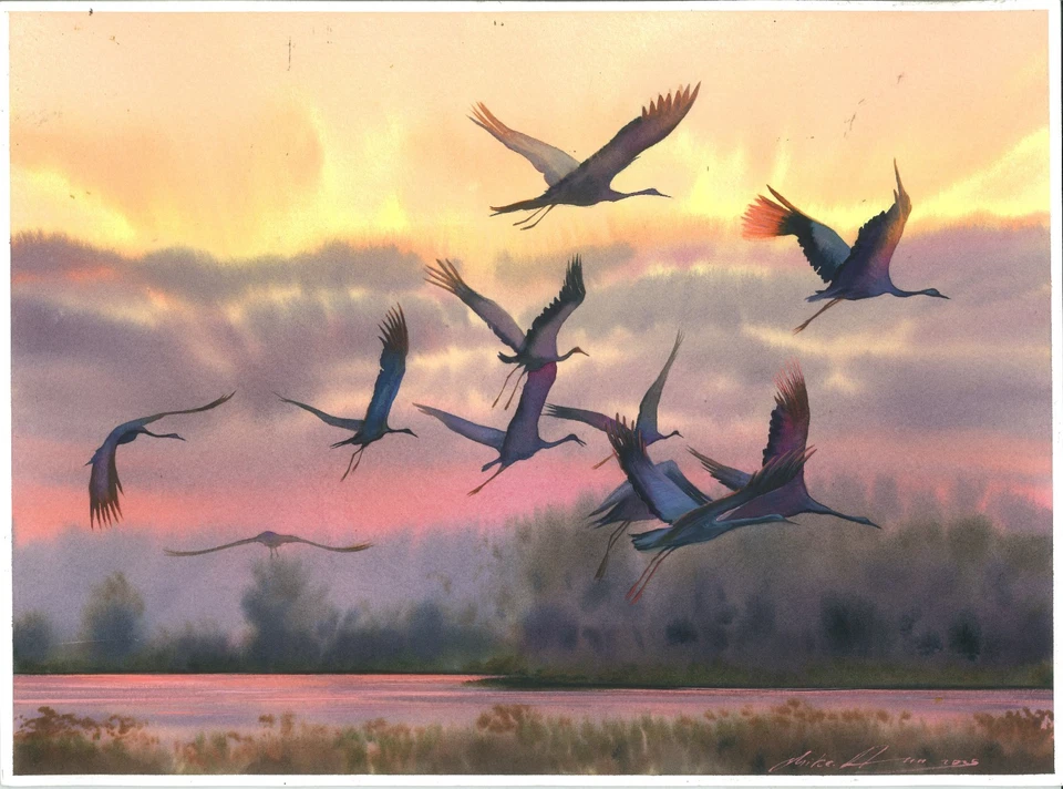 original painting 30 x 40 cm 239DM artwork watercolor modern birds at sunset - image 1 of 4