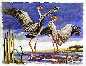 Country Threads DANCING BROLGAS Counted Cross Stitch Kit   Australian Birds - Picture 1 of 3