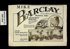 1934 Mike Barclay Blackfoot ID Suffolk-Hampshires Sheep Vintage Print Ad 17358