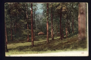 1907 WEST ORANGE N.J. the GLEN, HUTTON PARK * verschickt nach Newark NJ UDB 1c Briefmarke - Bild 1 von 2
