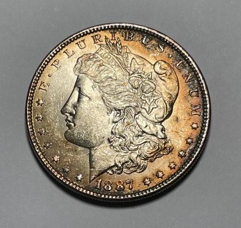 1887 Morgan dollar (#16635) BU+ obv toning Cover