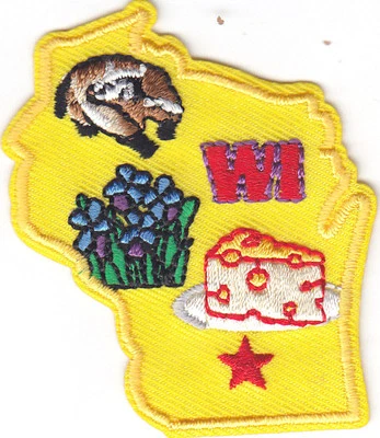 WISCONSIN STATE SHAPE Iron On Patch  - Image 1 of 2