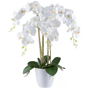 Kunstblume Phalaenopsis, Orchidee im Topf, 4 Stiele, ca. 62cm, REAL TOUCH, Weiß - Bild 1 von 3