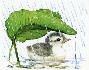 Cute Vintage BLANK Card, Duck Rain Bright n Breezy Notes by LINDA K POWELL +✉ - Picture 1 of 6