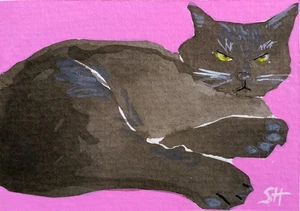 Original signed ACEO Collectors Art. Moody Cat Pink - Picture 1 of 3
