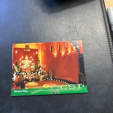 B16s CSI Series One 1 2003 Strictly Ink #87 Richard Berg Production Designer