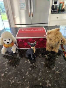 Juego Muñeca American Girl Julie DOG WALKING - 1ª Versión Mascotas en Caja 2011 ¡Genial! - Imagen 1 de 12