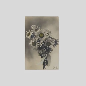 Cartolina floreale d’epoca Fiori Margherite Fotocelere 1925 - Picture 1 of 2