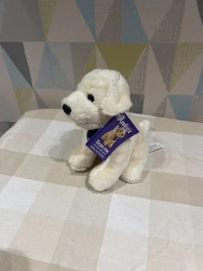 Andrex Soft Toy Labrador Dog Teddy - with tag - Picture 1 of 4