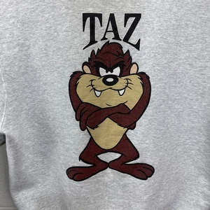Vintage Warner Bros Studio Store Taz Sweatshirt 1996 2XL Gray Big Graphic USA - Picture 1 of 19