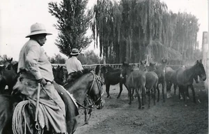 CHILI c. 1935 - Un Gaucho Moderne - NV 546 - Picture 1 of 2