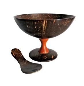 Organic Coconut shell desert cup with spoon Eco-Friendly product Free Shipping - Picture 1 of 13