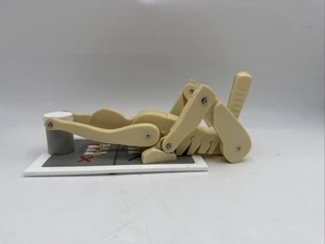 ESP ZKJ-310-K Lifting Manikin Back Health Education Anatomical Model - Picture 1 of 8
