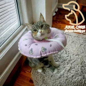 NewPet Dog Cat Recovery Collar Anti-bite Soft Neck Cone Wound Healing Protection - Picture 1 of 37