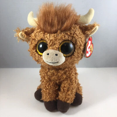 Ty Beanie Boos 2025 ALFIE the Highland Brown Cow (6 Inch) NEW Plush Stuffed Toy - Image 1 of 4