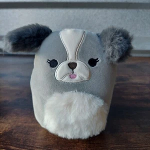 Squishmallows Malu The Shih Tzu Dog 5" Gray Puppy Dog Plush Toy - Picture 1 of 4