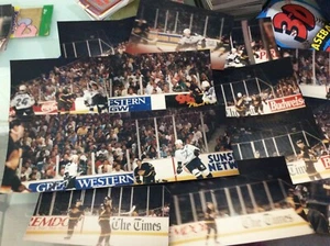 1995 TAMPA BAY LIGHTNING Hockey Game Photos Vintage Lockout Season 28 PICTURES - Picture 1 of 10