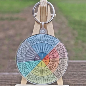 2 Pcs Porte-clés Émotionnel Sentiments Expression Roue Humeur Esthétique - Photo 1/12
