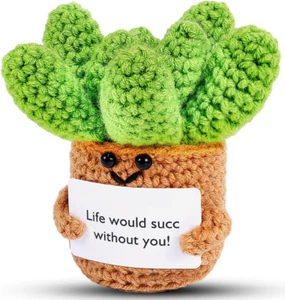 Crochet Positive Succulent Plant Thank You Gifts for Birthday Easter Day Mother' - Picture 1 of 12